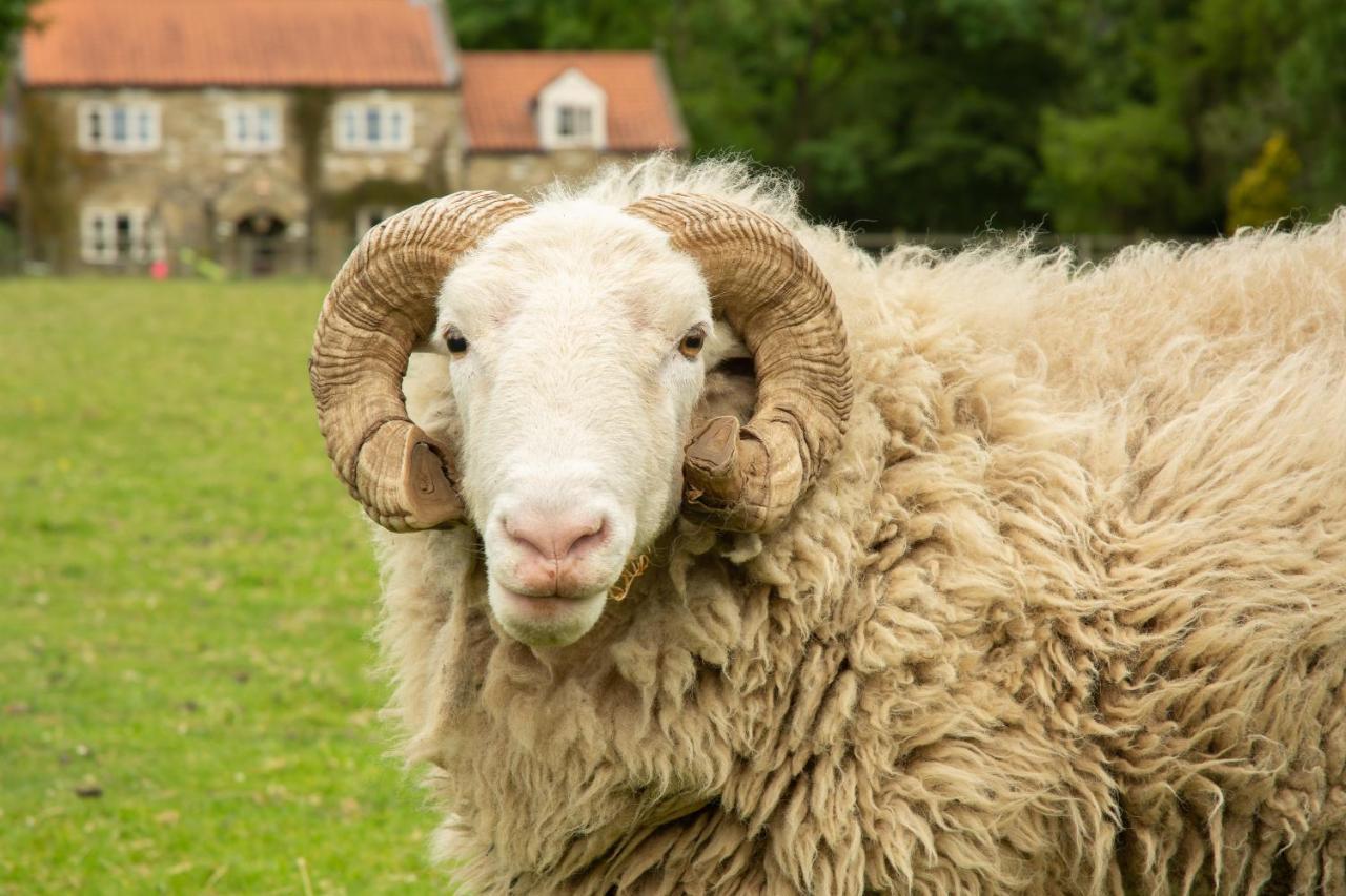 Rawcliffe House Farm Villa Pickering Eksteriør billede