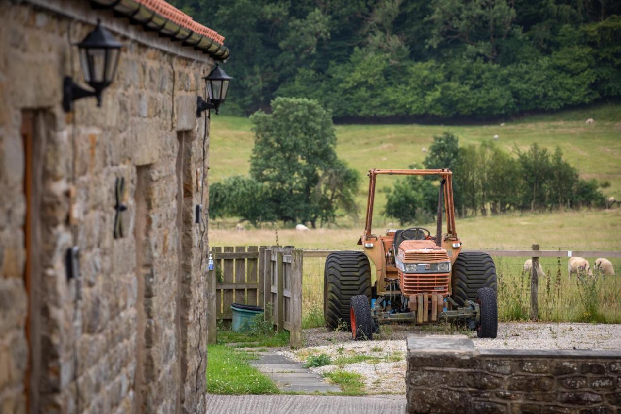 Rawcliffe House Farm Villa Pickering Eksteriør billede