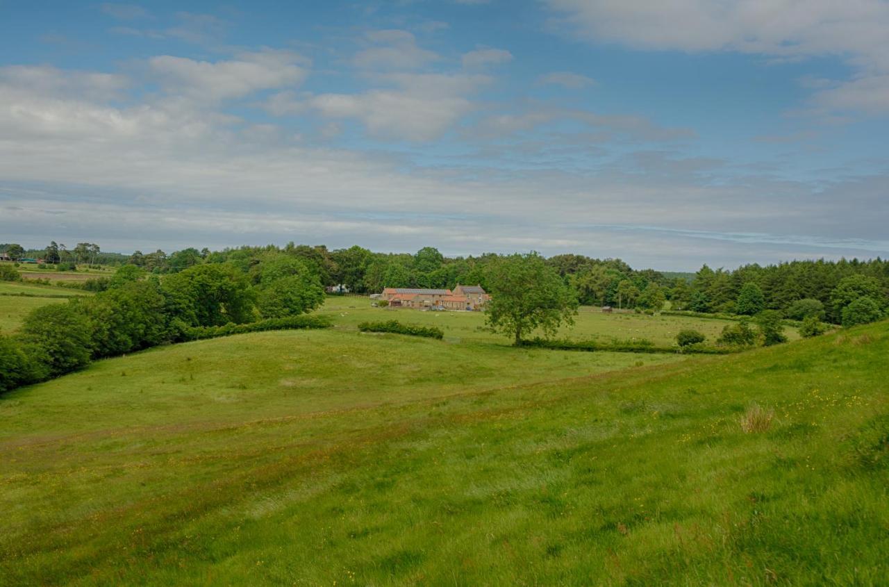 Rawcliffe House Farm Villa Pickering Eksteriør billede