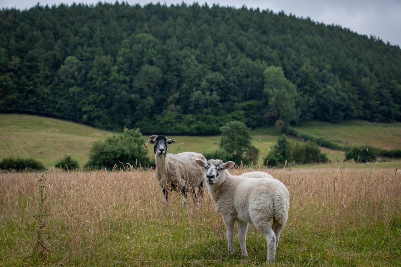 Rawcliffe House Farm Villa Pickering Eksteriør billede