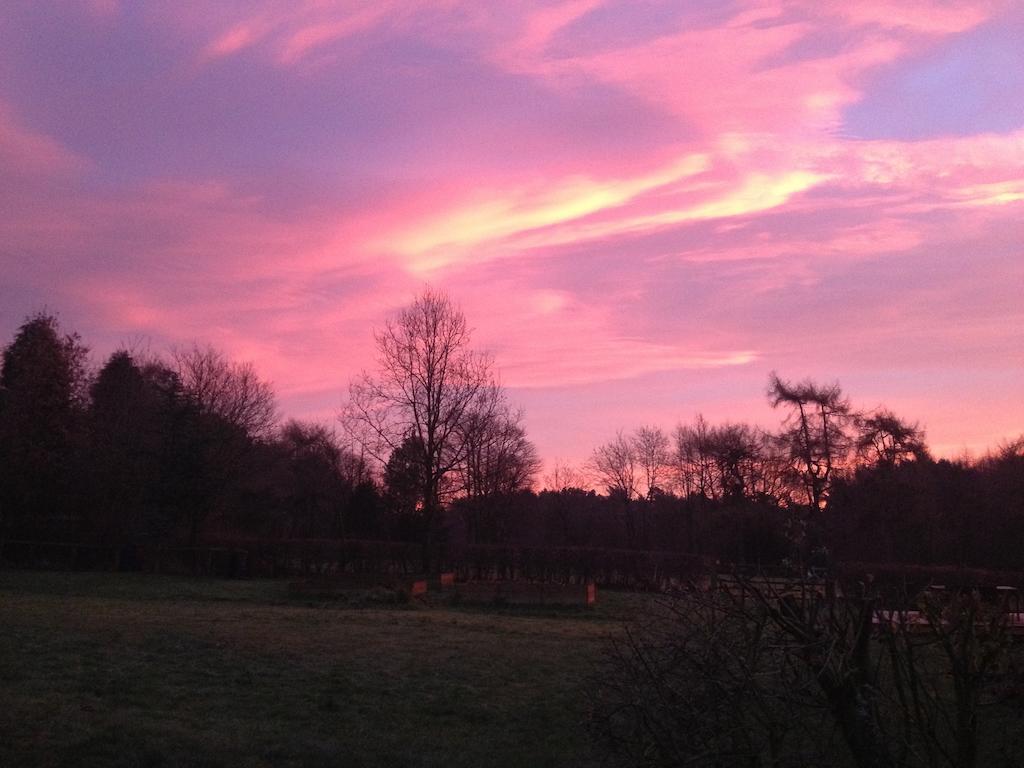 Rawcliffe House Farm Villa Pickering Eksteriør billede