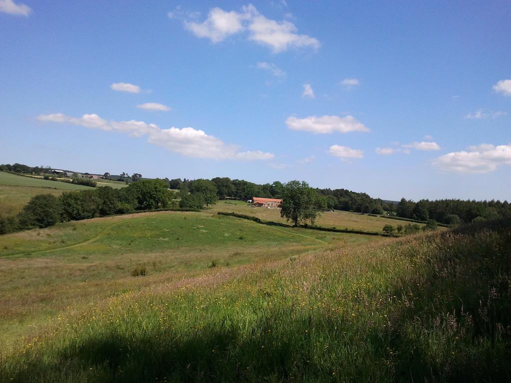 Rawcliffe House Farm Villa Pickering Eksteriør billede