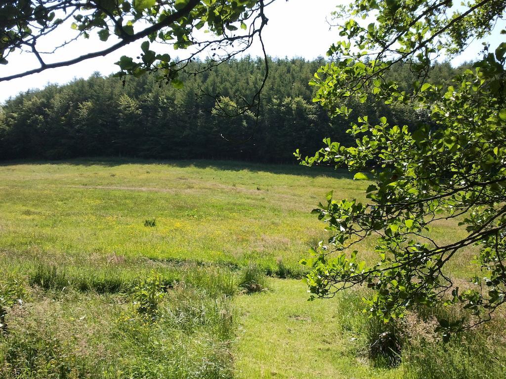 Rawcliffe House Farm Villa Pickering Eksteriør billede