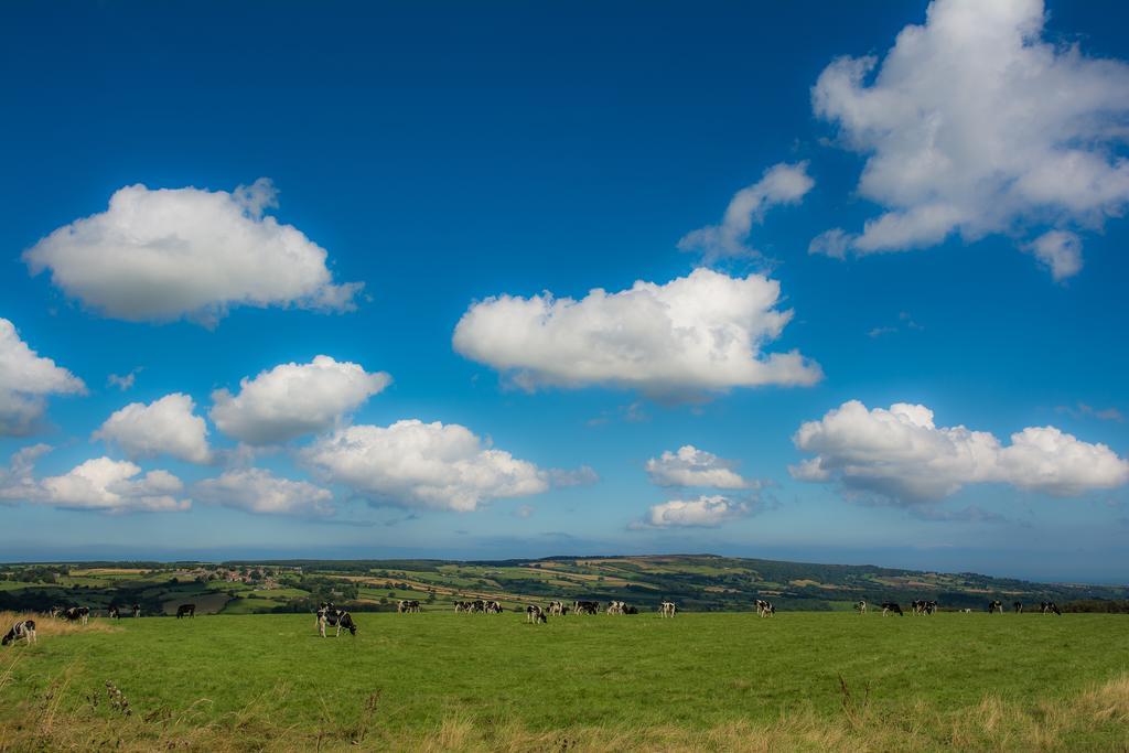 Rawcliffe House Farm Villa Pickering Eksteriør billede